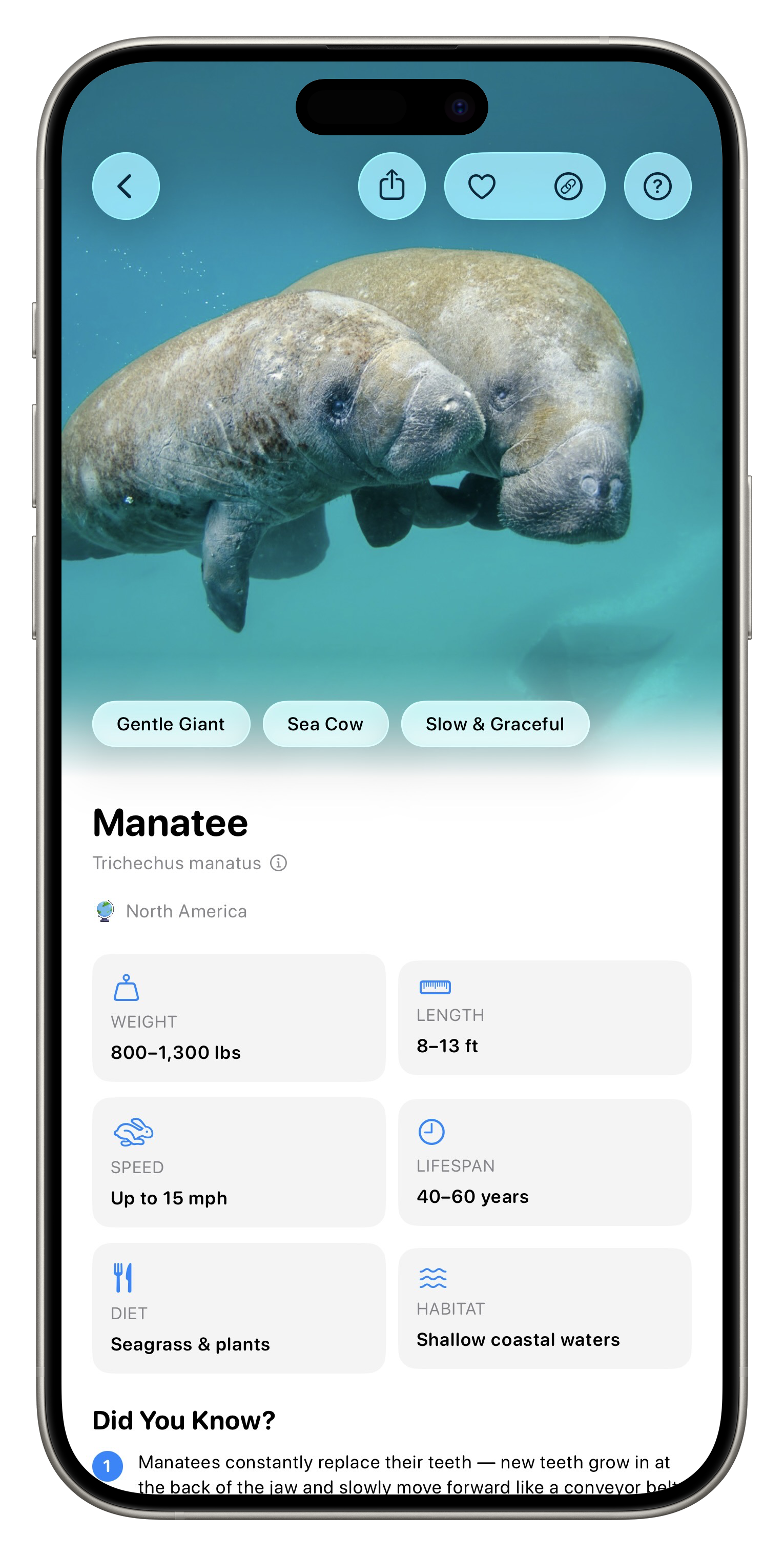 Fauna App Screenshot